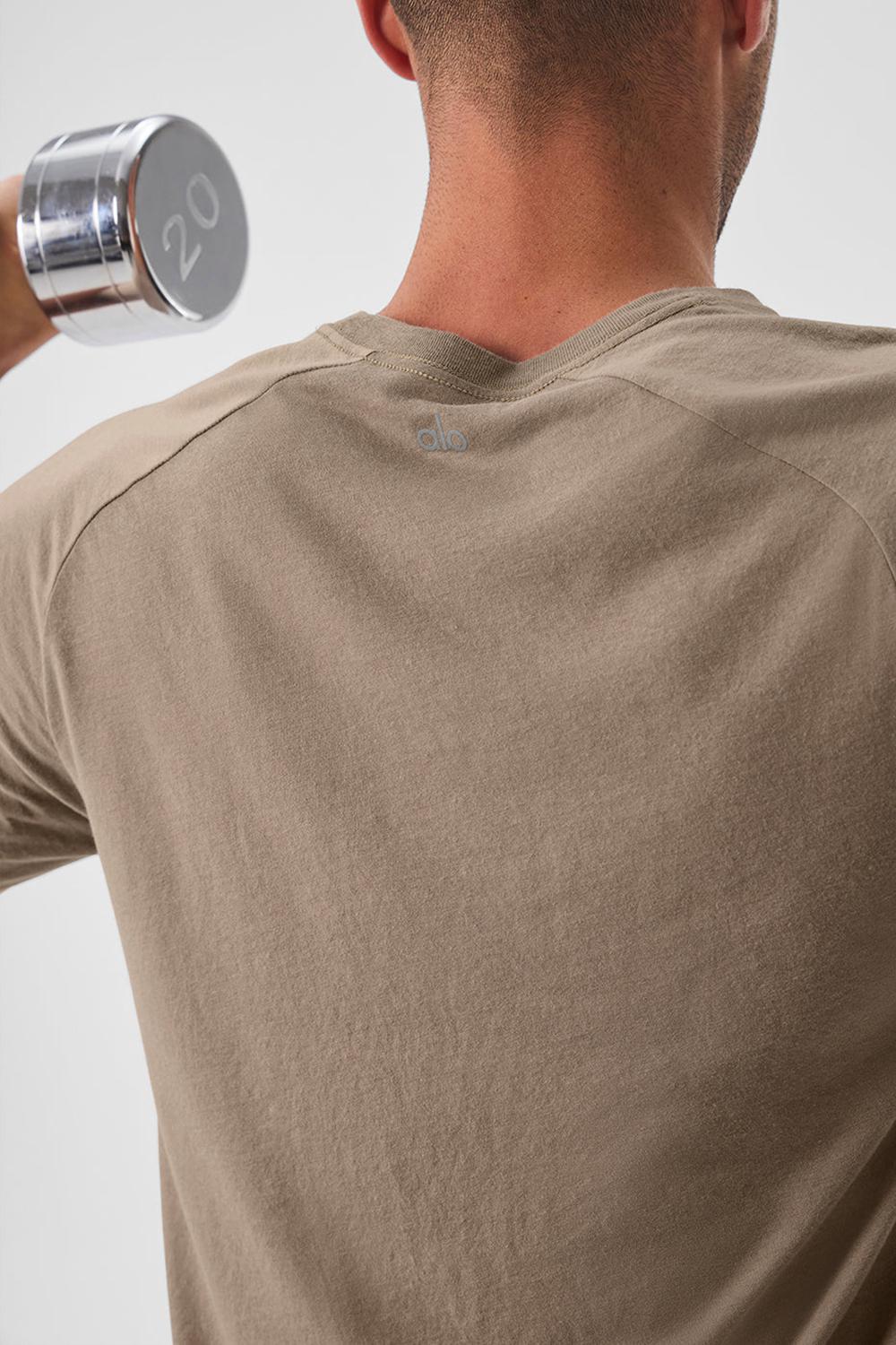 Camisetas Running Alo Yoga The Triumph Crew Neck Hombre Gravel | Colombia  BGWQ-72860